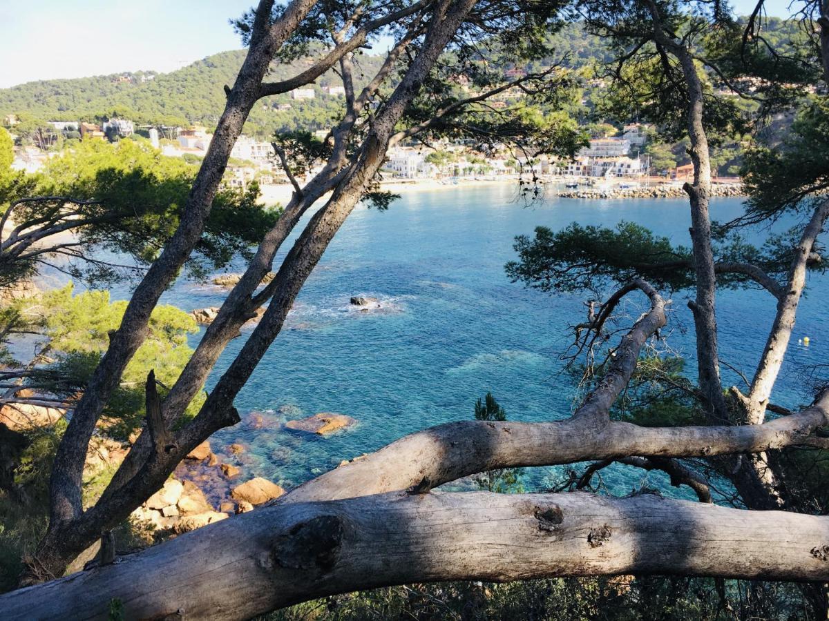 Apartamentos Ancora Llafranc Εξωτερικό φωτογραφία